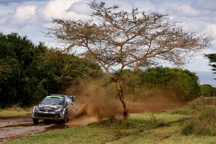 Elfyn Evans finished fourth at last year's Safari Rally Kenya after being hampered by several punctures (TGR)