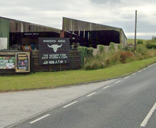 Trampoline park started without planning permission gets green light