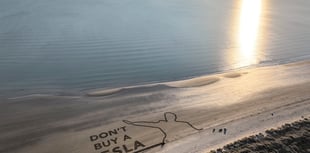 Gwynedd beach used as backdrop for anti-Musk protest
