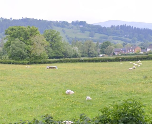 Powys Council approves 96 new homes in Llanidloes