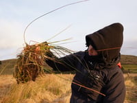 Aberystwyth University artist to give peatbogs a voice 