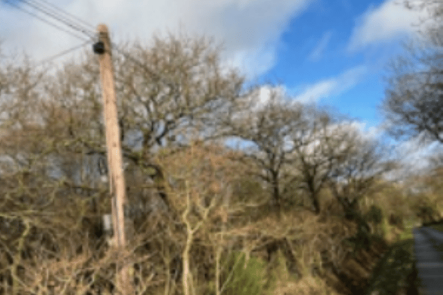 Welsh Government urged to put pressure on Openreach over storm damage