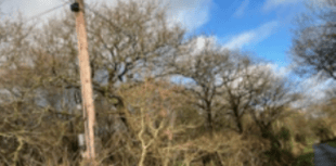 Welsh Government urged to put pressure on Openreach over storm damage