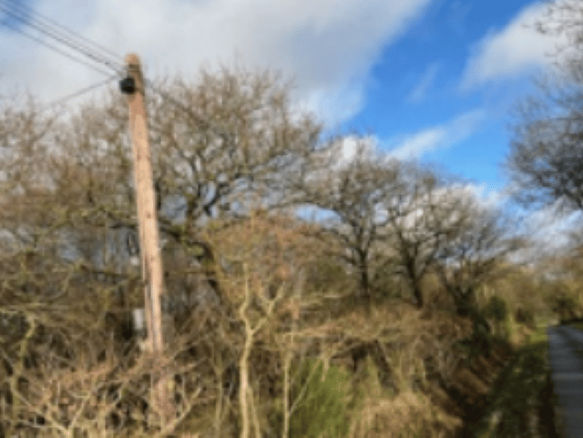 Welsh Government urged to put pressure on Openreach over storm damage