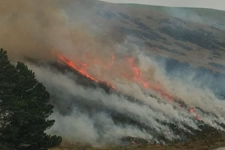 A passerby spotted a large grass fire on the Llanidloes mountain road on Thursday 27 March