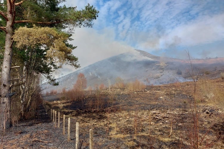 A grass fire affecting approximately 50 hectares of bracken and trees in Rhaeadr on Wednesday 19 March