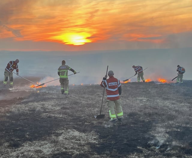 Fire chief praises response to grass fires