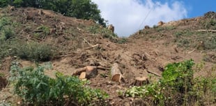 Fine for illegally felling trees in 400-year-old wood