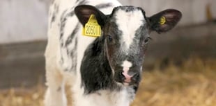 WATCH: Rural Digital Connectivity: A Catalyst for Thriving Farming