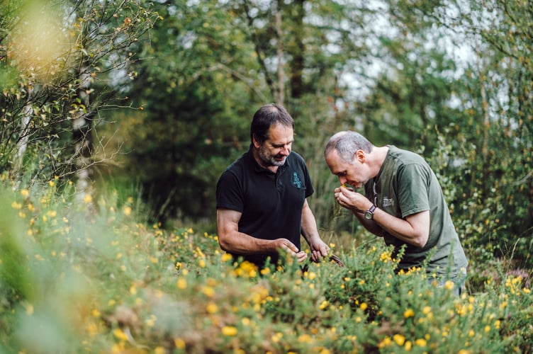 Pete and Danny Cameron foraging for botanicals near their home in the UNESCO World Biosphere Reserve.