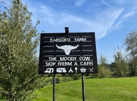 Llwyncelyn trampoline park to open this week