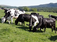 New research network aims to reduce dairy farming carbon footprint