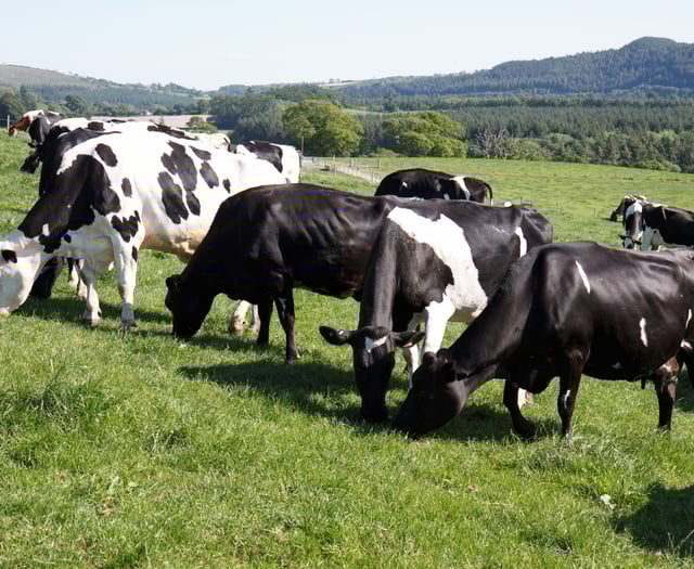 New research network aims to reduce dairy farming carbon footprint