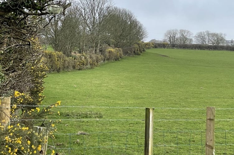 Plans note the high hedgerows shielding the proposed holiday accommodation site. Photo: Gwynedd Council planning documents