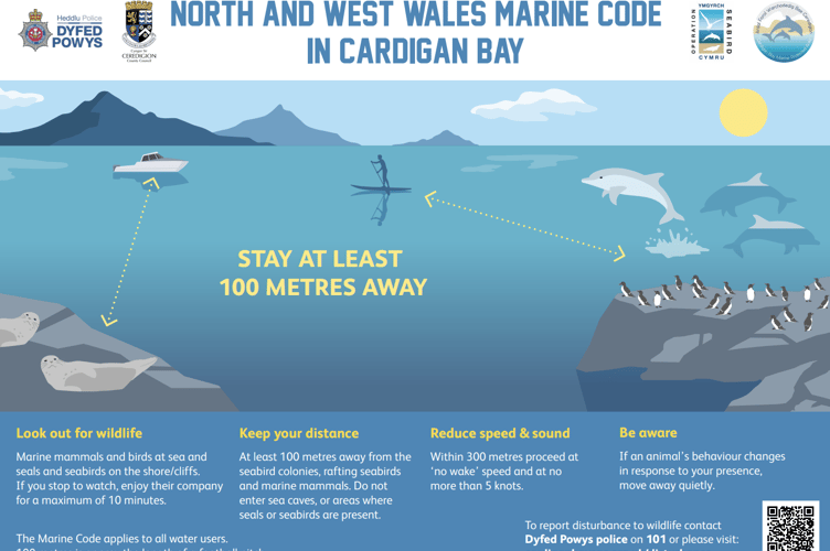 Marine code