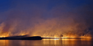 Ceredigion wildfires prompt climate crisis call