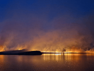 Ceredigion wildfires prompt climate crisis call