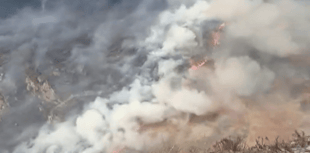 Wildfire in Gwynedd: Firefighters battle blaze over two days
