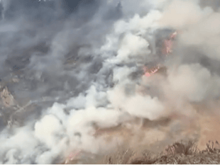 Wildfire in Gwynedd: Firefighters battle blaze over two days