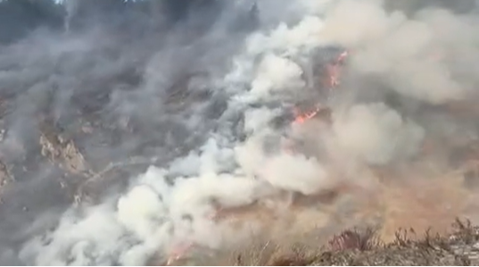 Wildfire in Gwynedd: Firefighters battle blaze over two days