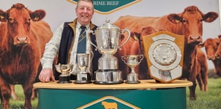 Charles Grisedale's cattle Britain's best herd