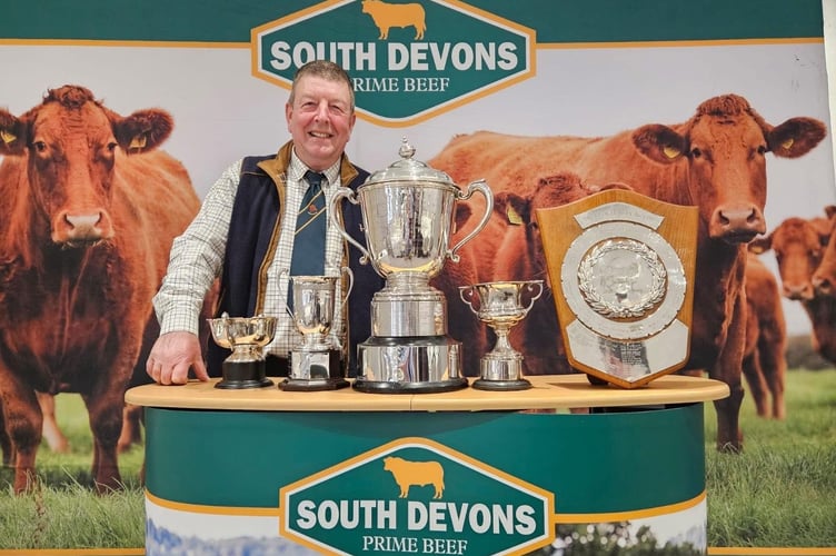South Devons