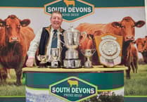 Britain's best cattle found in Wales