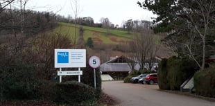 Day care centres 'could have fully re-opened'