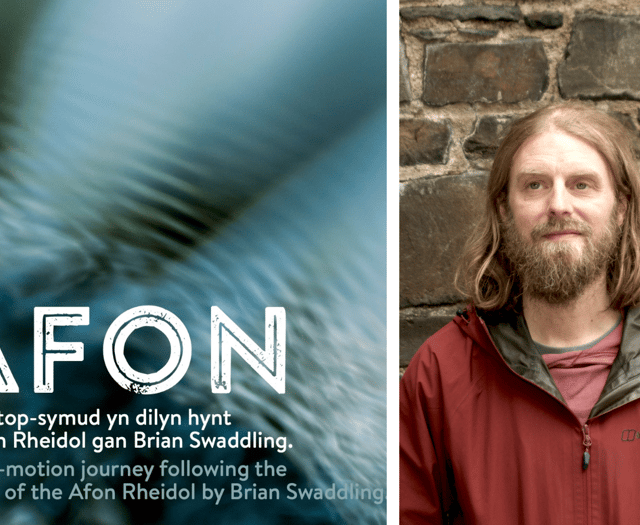 Aberystwyth artist gets ready to reveal eight year project 
