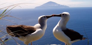 Uni research reveals new information about rare marine life 