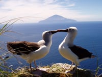 Uni research reveals new information about rare marine life 