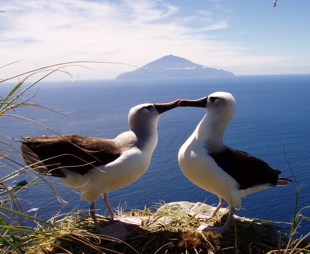 Uni research reveals new information about rare marine life 