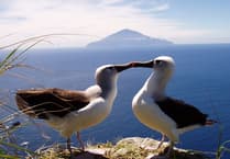 Aber Uni research reveals new information about rare marine life on remote islands