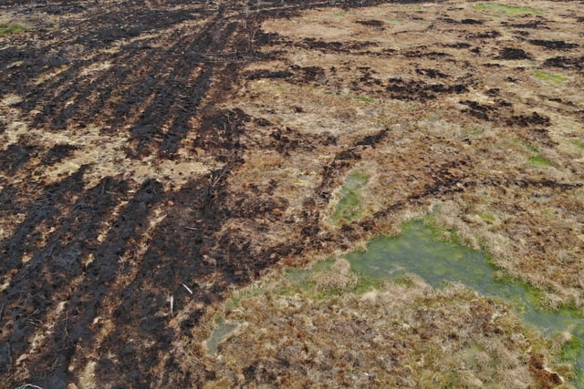 Restored peatland helped slow wildfires
