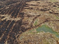 Restored peatland helped slow wildfires
