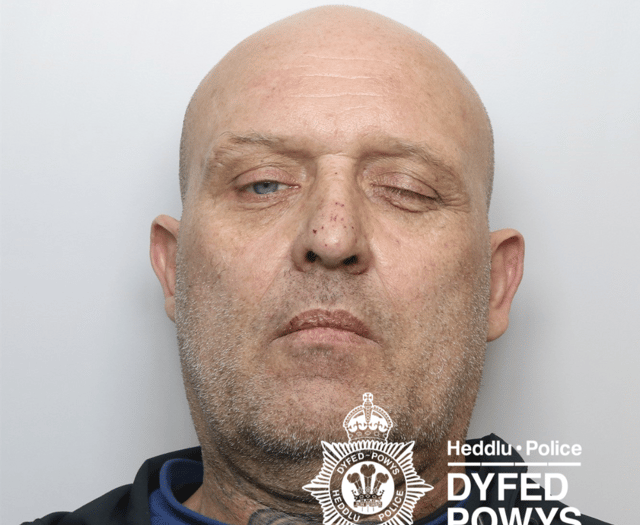 Van driver jailed following crash on country road