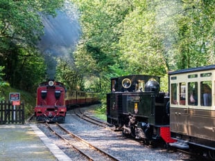 Vale of Rheidol offering half price tickets to Ceredigion residents