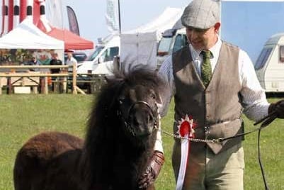 nefyn show