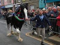 Picture special: Barley Saturday