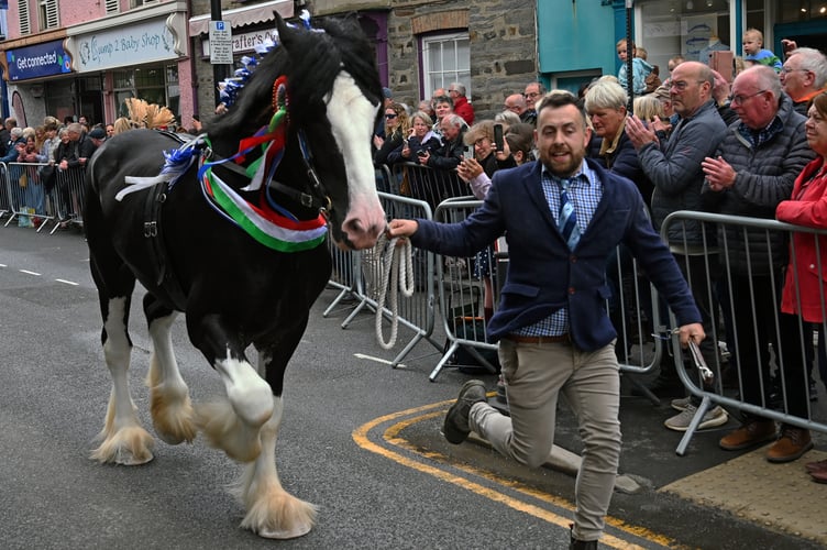 Barley Saturday in Cardigan