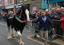 Picture special: Barley Saturday