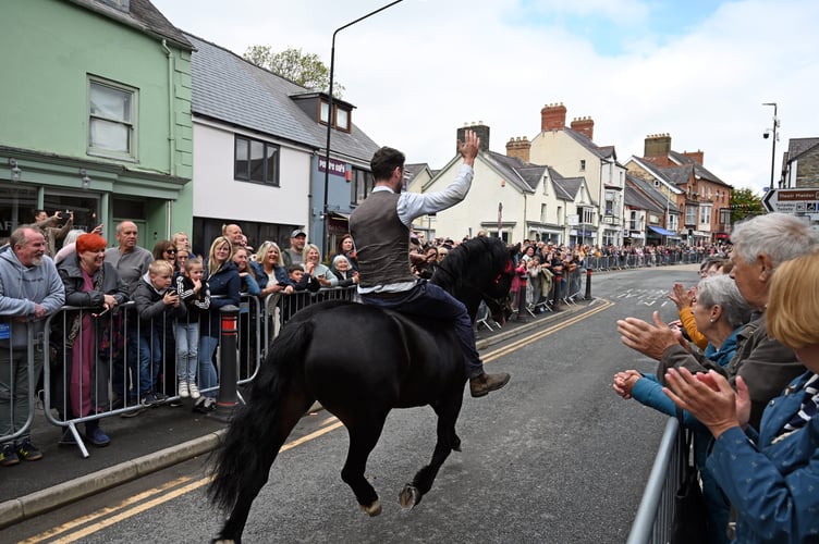 Barley Saturday in Cardigan