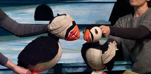 'Puffling Percy' adventure for children