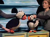 'Puffling Percy' adventure for children