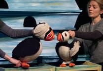 Don't miss 'Puffling Percy' adventure!