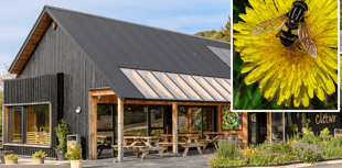 Cletwr hosts Pollinator Festival
