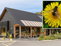 Cletwr hosts Pollinator Festival