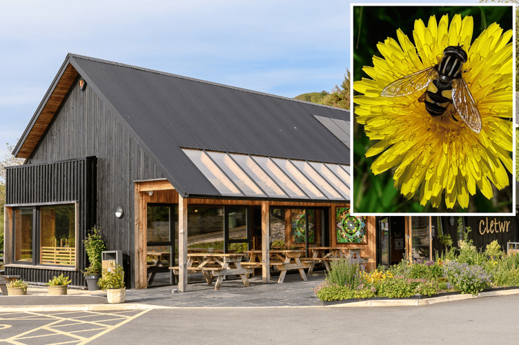 Cletwr is ready to re-run popular pollinator event