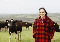 Ceredigion farmer appointed to lead agri programme