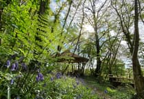 Bro Ddyfi Community Hospital to 'prescribe nature' thanks to newly funded service